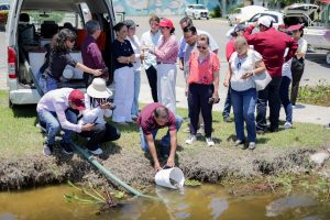 Impulsa Gobierno de Tampico Conservación de Fauna Acuática en el Sistema Lagunario de Tampico